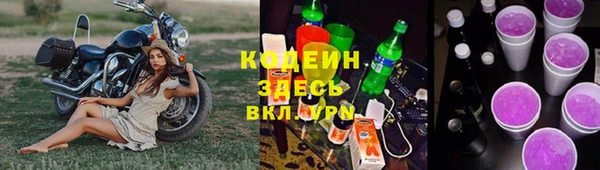 сатива Каменск-Шахтинский