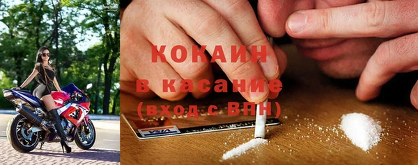 сатива Каменск-Шахтинский