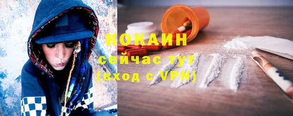 прущая мука Каменка