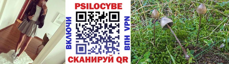Галлюциногенные грибы Cubensis  Купить  Джанкой 